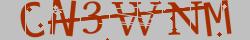 Retype the CAPTCHA code from the image