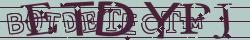 Retype the CAPTCHA code from the image