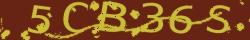 Retype the CAPTCHA code from the image