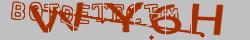 Retype the CAPTCHA code from the image